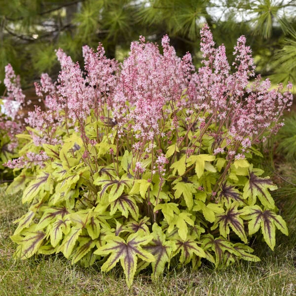 Fun And Games® 'Eye Spy' Foamy Bells 1 Fun And Games® 'Eye Spy' Foamy Bells