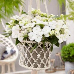 Fairytrail Bride™ Cascade Hydrangea™ -Florist Shop fairytrail bride cascading hydrangea 5 sw